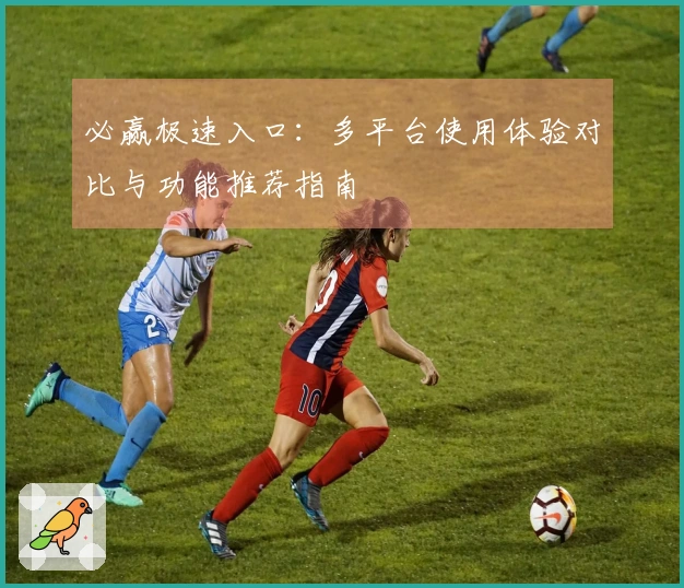 必赢极速入口:多平台使用体验对比与功能推荐指南