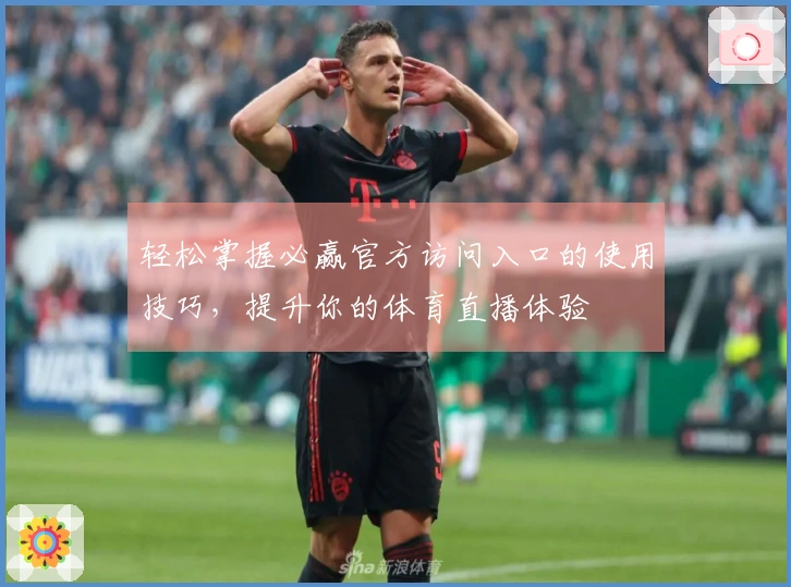 轻松掌握必赢官方访问入口的使用技巧,提升你的体育直播体验