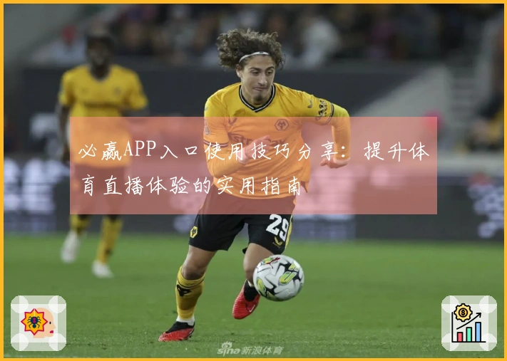 必赢APP入口使用技巧分享：提升体育直播体验的实用指南